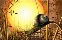 Snail