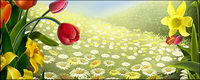 Flowers and Easter
