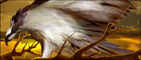 Hawks psd layered material
