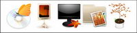 Theme of the autumn series transparent PNG icon