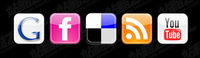 Popular web2.0 website logo button icons png