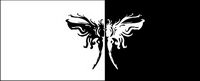 Women and pattern vector-5