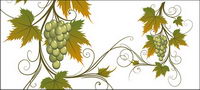 Vector material vines