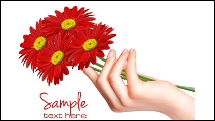 Chrysanthemum 02 - vector material