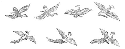 Phoenix Bird Vector