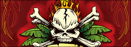 Skulls banner