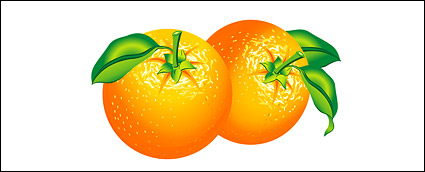 Orange Vector