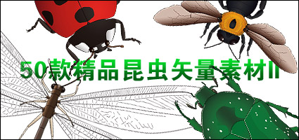 exquisite insects-2